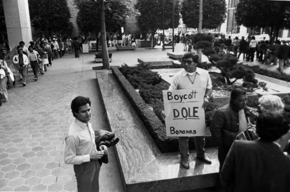 (3201) Demonstrations, Dole Corporation, 1973